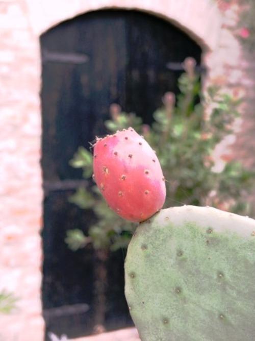 B&B Chez Vivi Arqua Petrarca Dış mekan fotoğraf